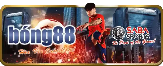 Giải trí bền vững